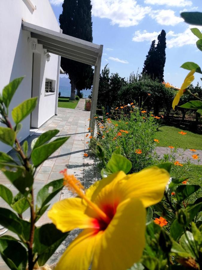 Villa Maria Epidaurus Ngoại thất bức ảnh