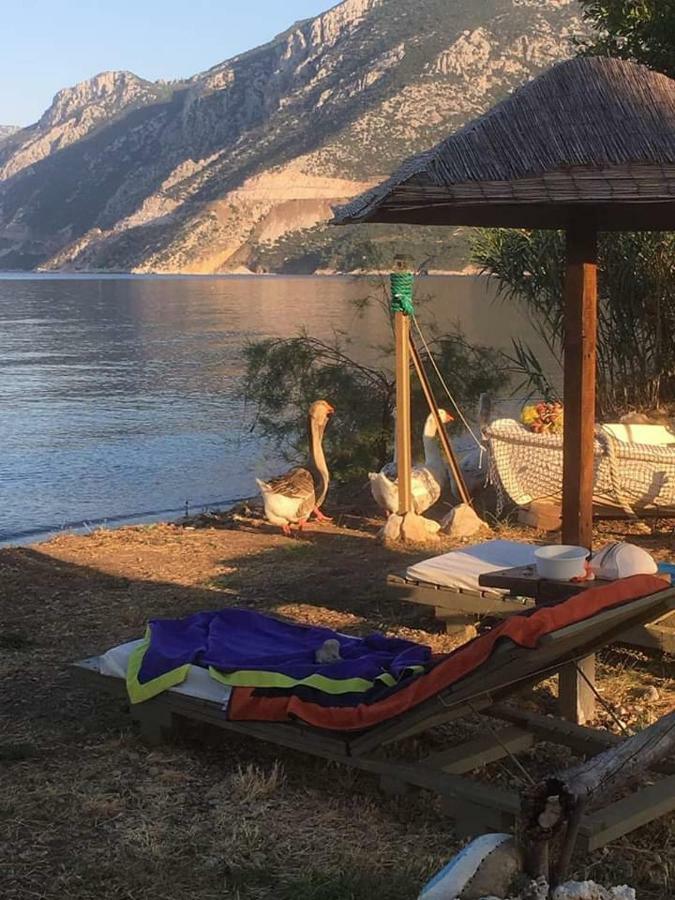 Villa Maria Epidaurus Ngoại thất bức ảnh