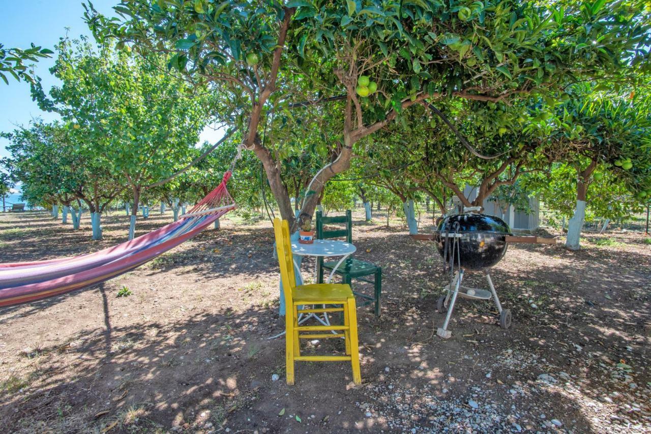 Villa Maria Epidaurus Ngoại thất bức ảnh